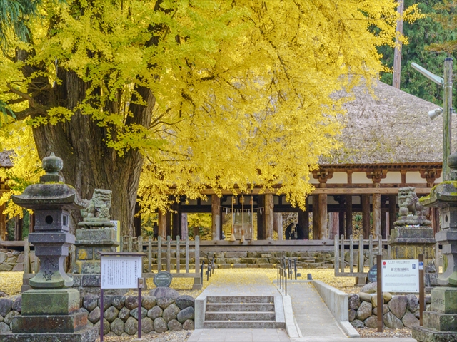 新宮熊野神社長床